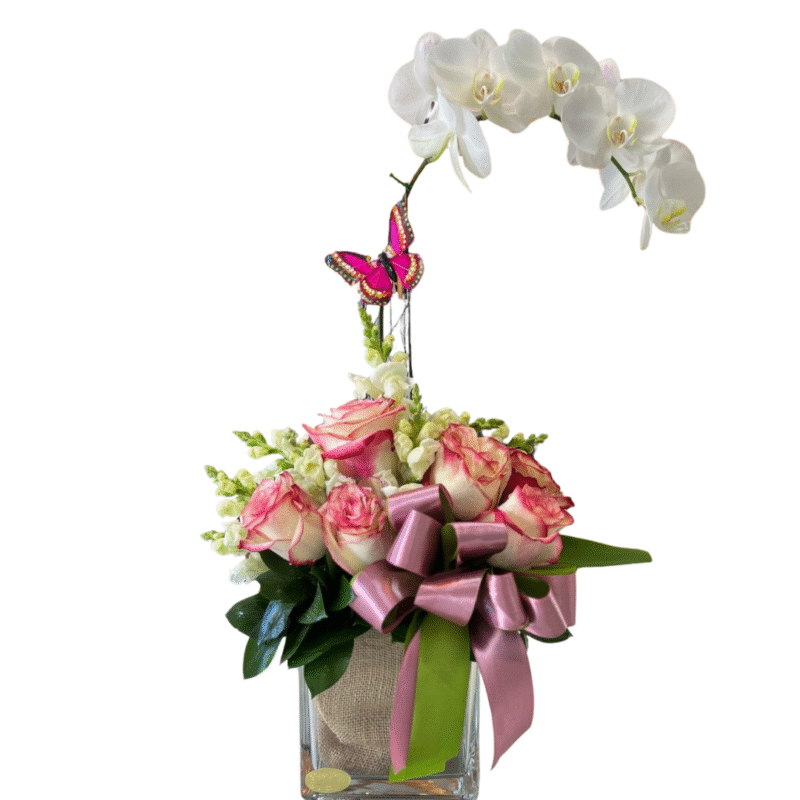 ORQUIDEA-MD1014