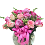 MADRES -MD1001