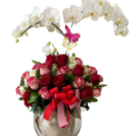 MADRES -MD1022