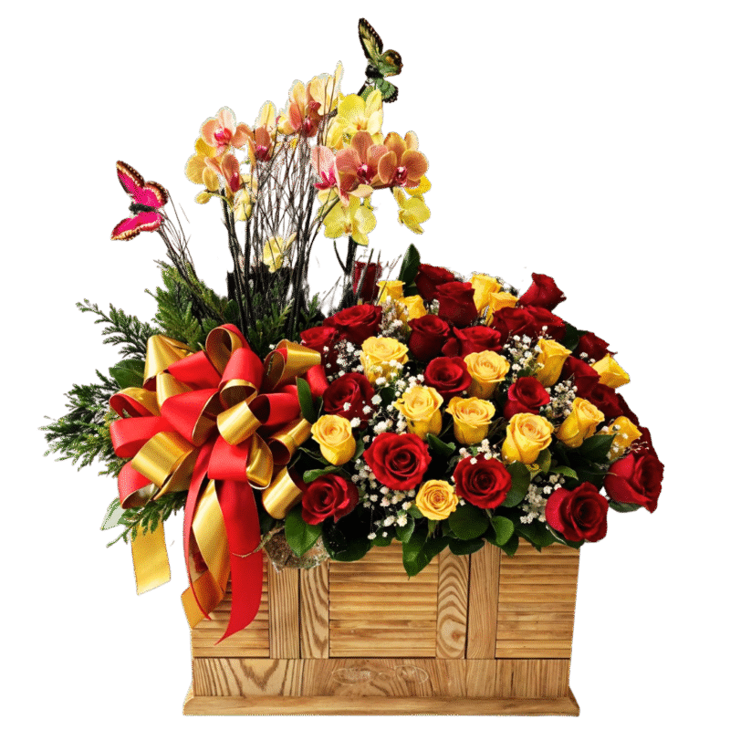 BAUL -MD1044