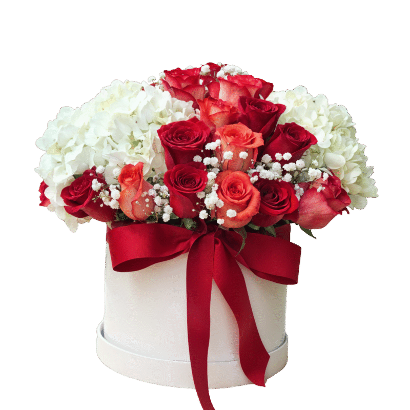 BOX-MD1048