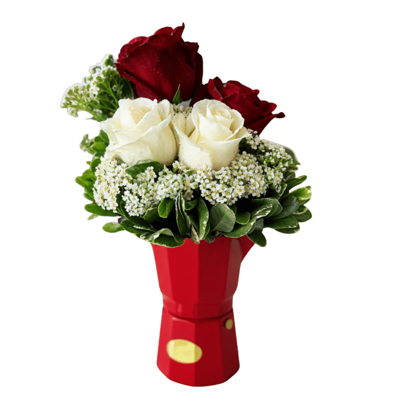 GRECA ROSES - MD1048