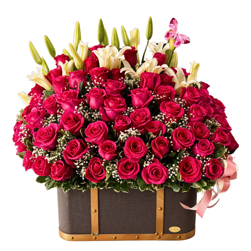 BAUL - MD1049