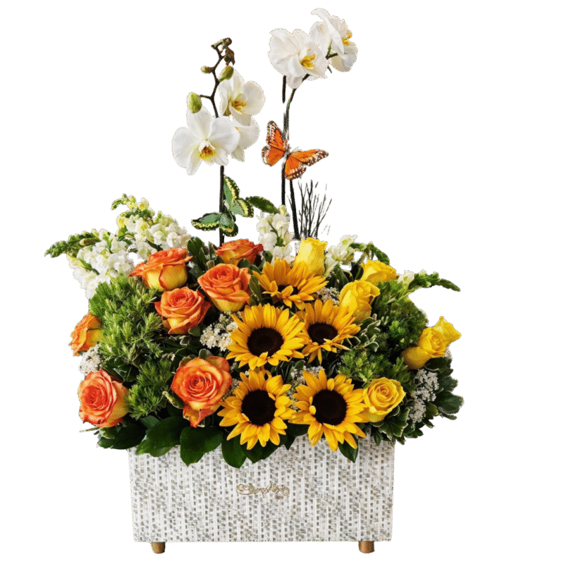 BAUL-MD1054
