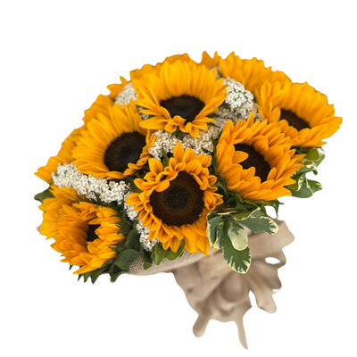 Pucha 12 girasoles-011
