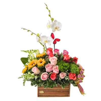 Canasta mixta-020