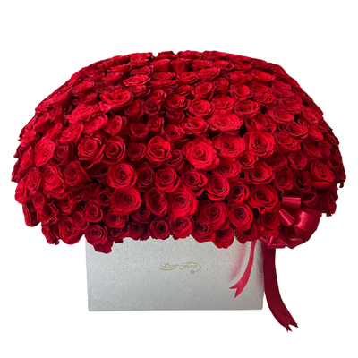 Baul 172 rosas-005