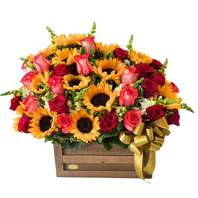 Baul rosas y girasoles-007