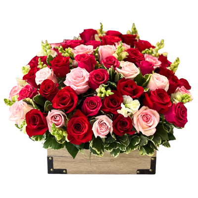 Baul 50 rosas-008