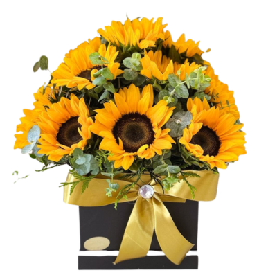 CAJA DE GIRASOLES