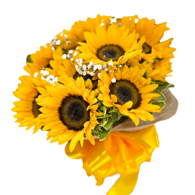 PUCHA DE GIRASOLES