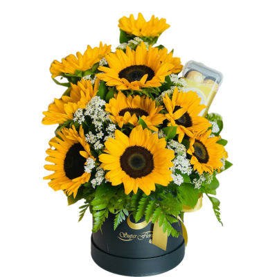 CAJA DE GIRASOLES